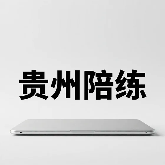贵州陪练哪个牌子靠谱